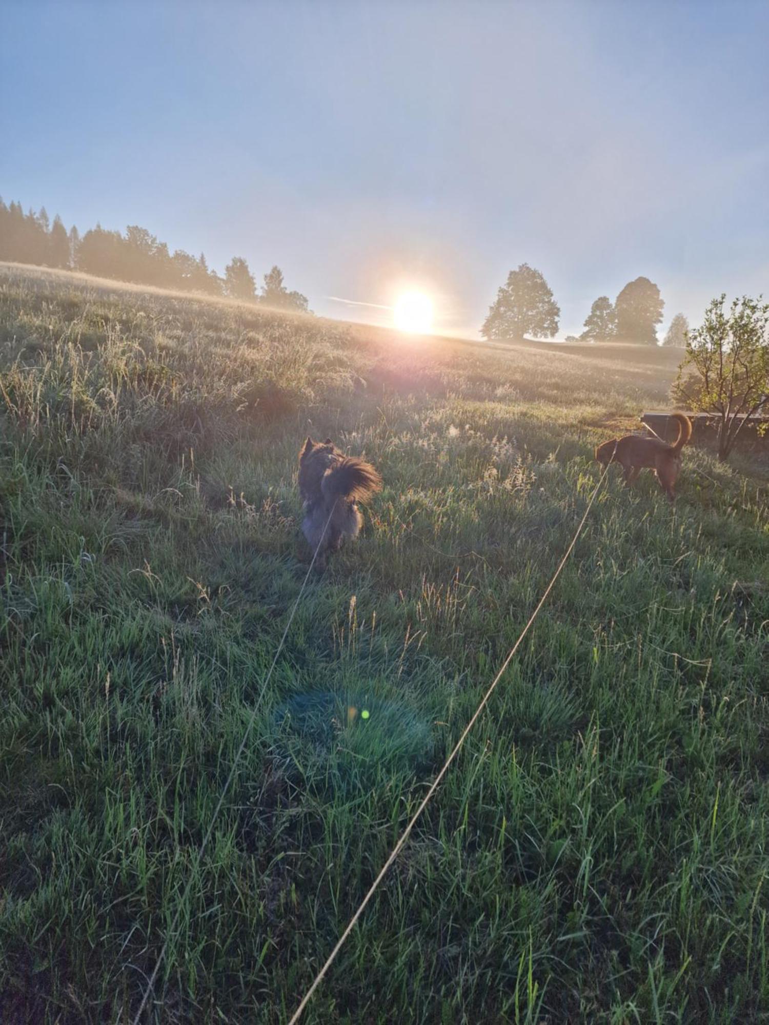 Willa Agro Na Gorce Barcinek Zewnętrze zdjęcie