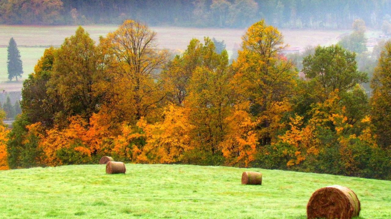 Willa Agro Na Gorce Barcinek Pokój zdjęcie